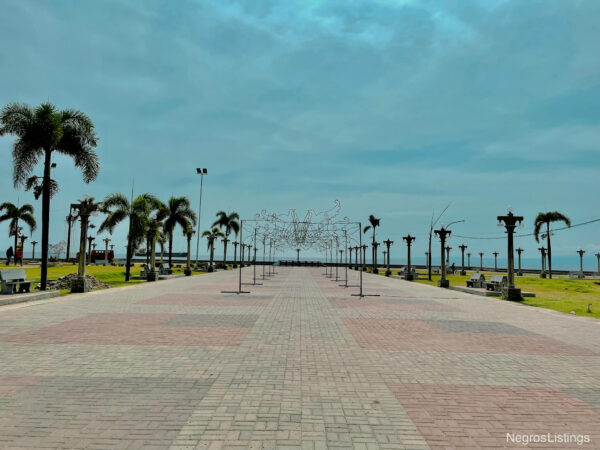 Half Day City With Countryside Tour